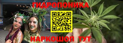 ешки Моздок