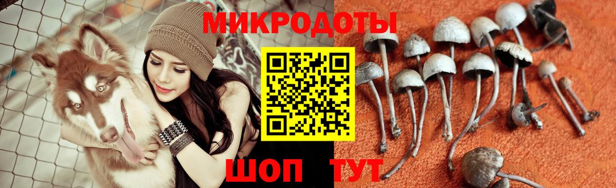 магазин    Галлюциногенные грибы прущие грибы  Вход с VPN  Янаул 
